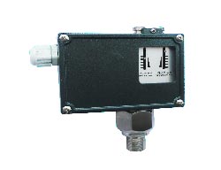 ָ�ʽ�����_�P(gu��n)/������