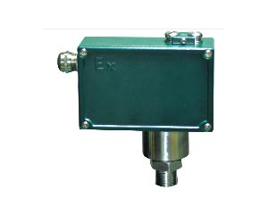 ��տ�����